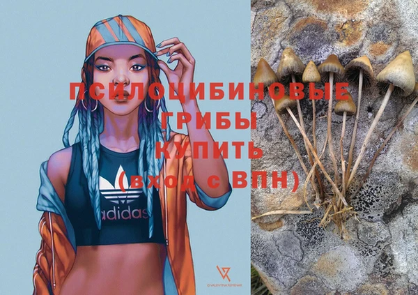 MDMA Белокуриха