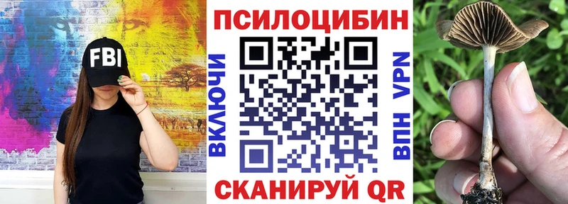 Галлюциногенные грибы Cubensis  Купить  Бобров 